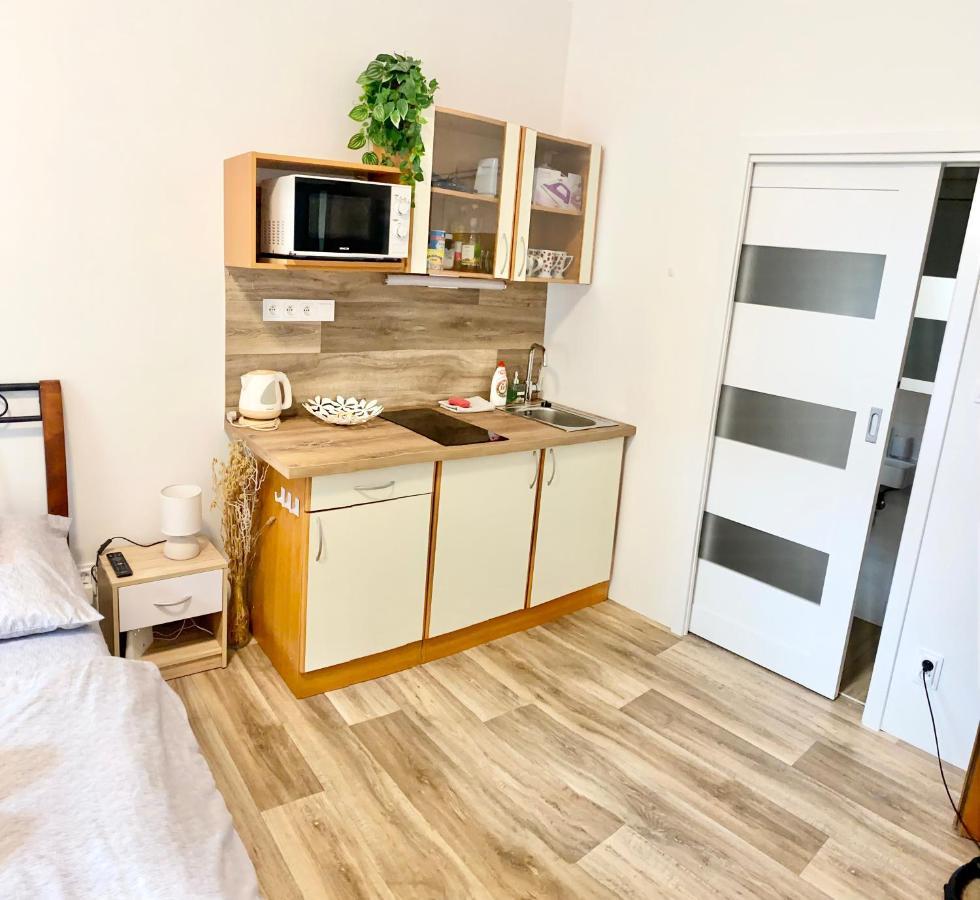 Private Apartment - Park Olomouc - Super Lokalita Dış mekan fotoğraf